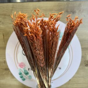 BOUQUET SEC AVOINE ORANGE