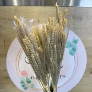 BOUQUET SEC TRITICUM