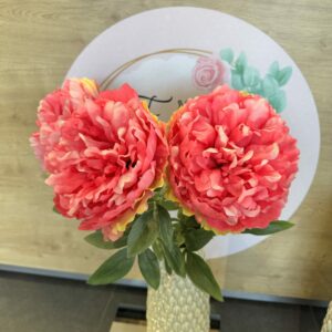 PIVOINE ARTIFICIELLE