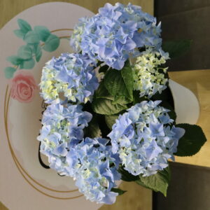 HORTENSIA 60cm
