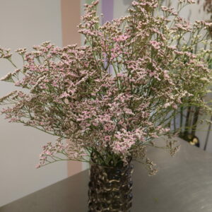 LIMONIUM