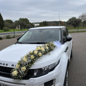 VOITURE BLANC VERT