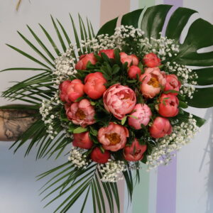 PIVOINE ROYALE