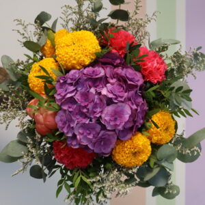 HARMONIE COLORE