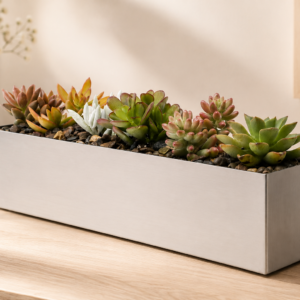 JARDINIERE PLANTES GRASSES