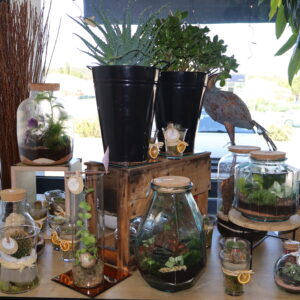 TERRARIUM